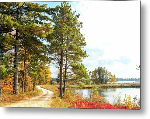 Seney National Wildlife Refuge Metal Print featuring the photograph Road Through the Wildlife Refuge by Robert Carter