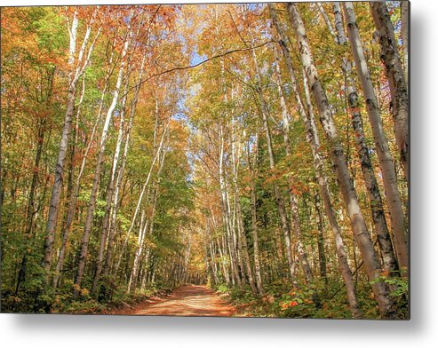 Michigan Metal Print featuring the photograph Road to the Trailhead by Robert Carter