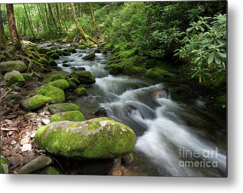 Smokies Metal Print featuring the photograph Roadside Waterway by Phil Perkins