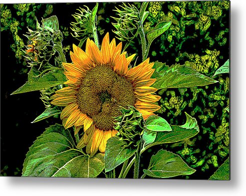 Sunflower Metal Print featuring the digital art Roaming the Sunflower by SnapHappy Photos