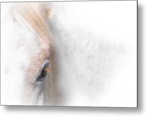 Horse Metal Print featuring the photograph Roan Eye by Lisa Manifold