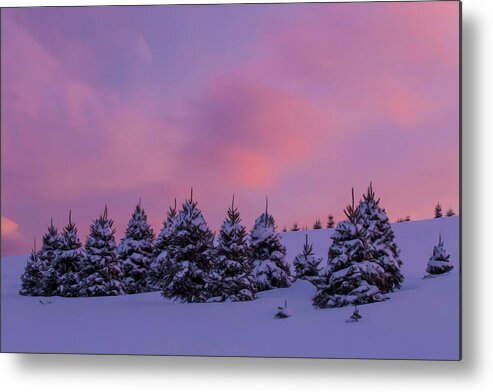 Rocks Metal Print featuring the photograph Rocks Estate Winter Sunset Oil Paint 2 by White Mountain Images