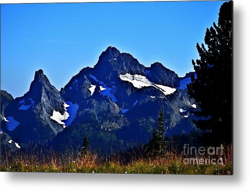 Cascades Metal Print featuring the photograph Rocky Cascades Over a Meadow by Sea Change Vibes
