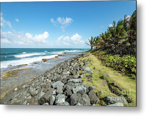 Palm Trees Metal Print featuring the photograph Rocky Coastline, Old San Juan, Puerto Rico by Beachtown Views