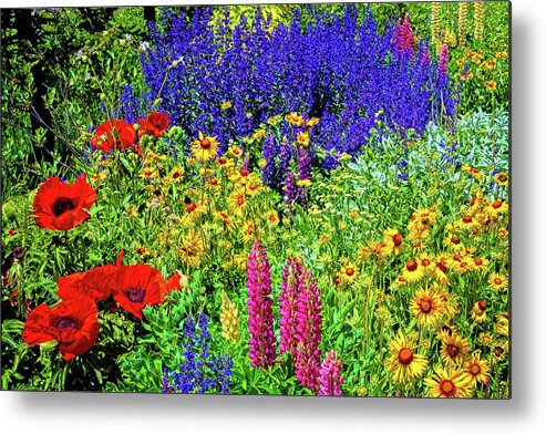 Crested Butte Metal Print featuring the photograph Rocky Mountain Garden by Lynn Bauer