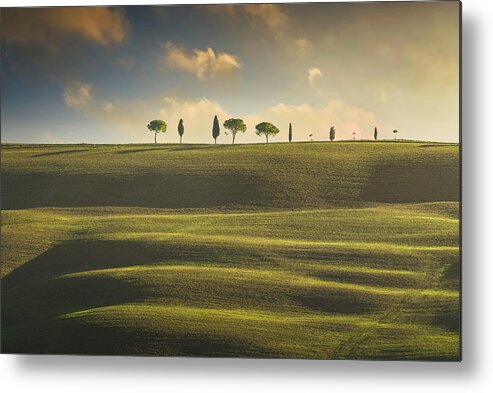 Tree Metal Print featuring the photograph Rolling hills, cypress and pine trees. Tuscany, Italy by Stefano Orazzini