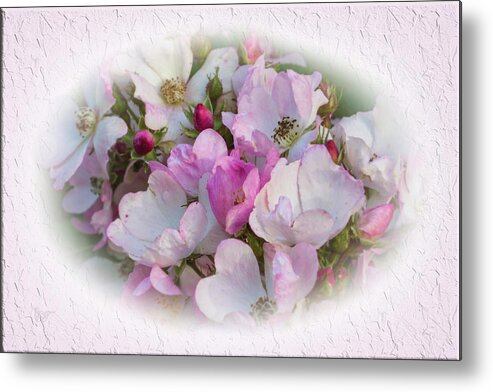 Flowers Metal Print featuring the photograph Romantic Roses by Elaine Teague