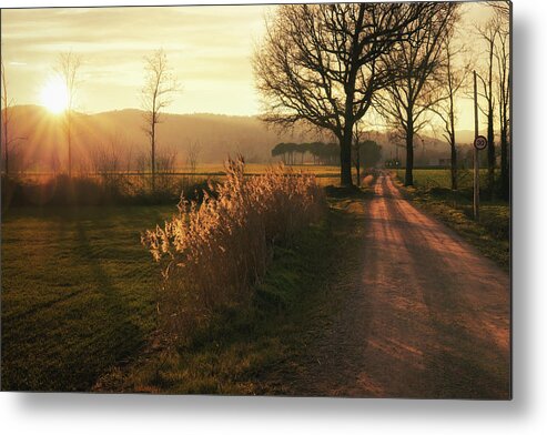 Agriculture Metal Print featuring the photograph Rural road to Senfores, Malla, Catalonia by Jordi Carrio Jamila