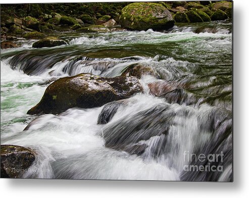 Landscape Metal Print featuring the photograph Rushing mountain water, Smoky Mountains, Big Creek North Carolina by Theresa D Williams
