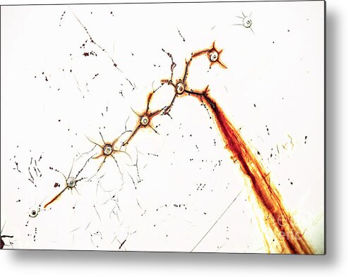 White Metal Print featuring the photograph Rusty Flow by Pamela Dunn-Parrish