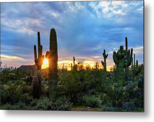 Sunset Metal Print featuring the photograph Saguaro Desert Sunset by Saija Lehtonen