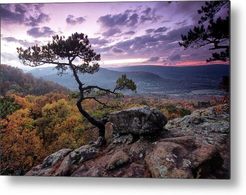 Ozarks Metal Print featuring the photograph Sams Throne by William Rainey