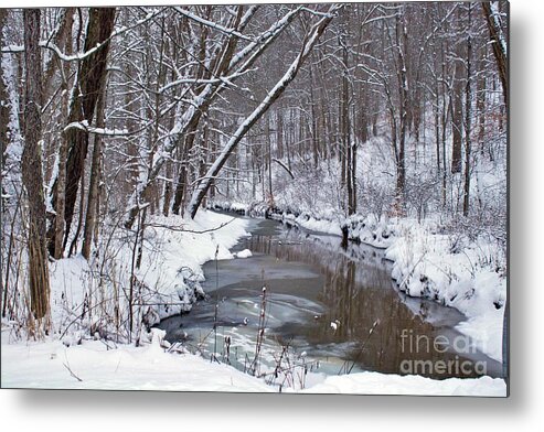 Woods Metal Print featuring the photograph Satiny Stream by Yvonne M Smith