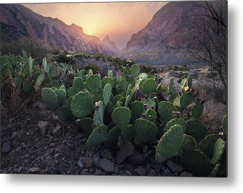 Big Bend Metal Print featuring the photograph Safe Haven by Slow Fuse Photography