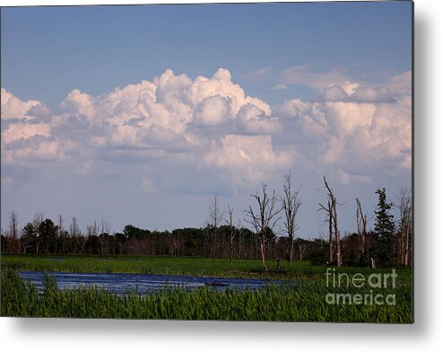 Iroquois Marshes Metal Print featuring the photograph Scenes from the Wildlife Area by Tony Lee