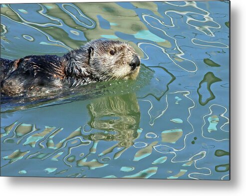  Metal Print featuring the photograph Sea Otter #1 by Carla Brennan