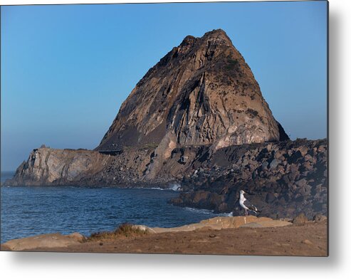 Beach Metal Print featuring the photograph Seagull at Mugu Rock by Matthew DeGrushe