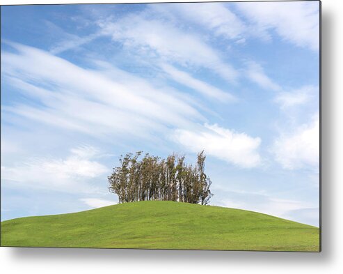 Sonoma County Metal Print featuring the photograph Serene Spring by Shelby Erickson