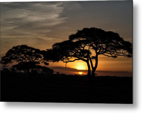 Acacia Tortillis Metal Print featuring the photograph Serengeti Sunrise by Phil Marty