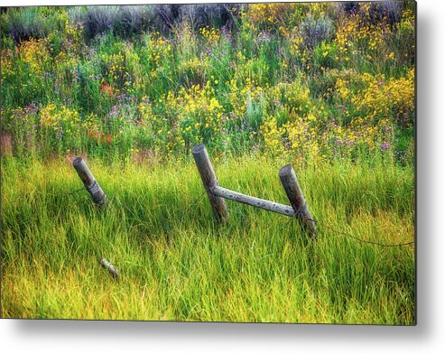 Artistic Metal Print featuring the photograph Serenity by Rick Furmanek