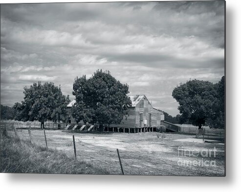 Landscape Metal Print featuring the photograph Shearing Shed, Lilliput by Linda Lees