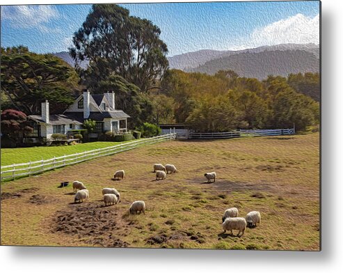 Digital Paintings Metal Print featuring the photograph Sheep at Mission Ranch by Robert Carter
