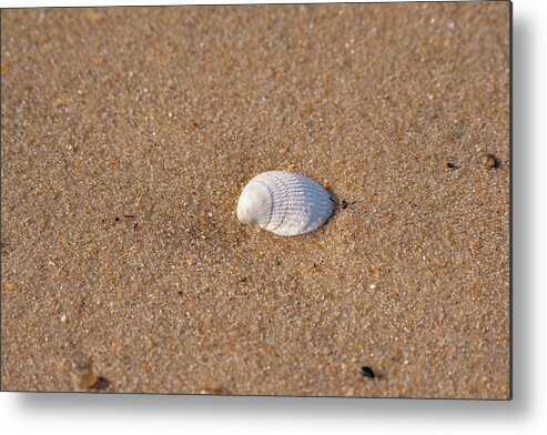 Sea Metal Print featuring the photograph Simple Beauty by Rose Guinther