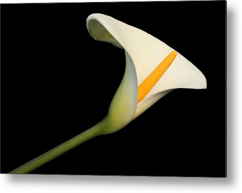 Form Metal Print featuring the photograph Simplicity in Form by Barbara White