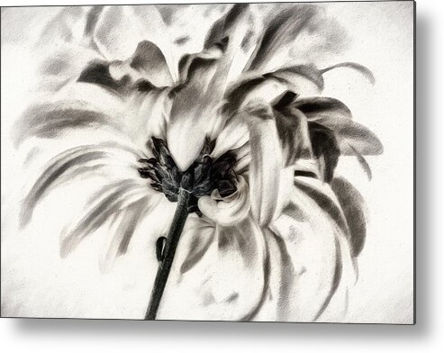 Nature Metal Print featuring the photograph Simplicity Series 5 Celebration by Darlene Kwiatkowski