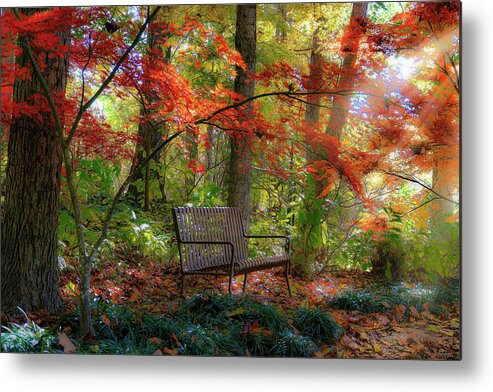 Bench Metal Print featuring the photograph Sit With Me by Cheri Freeman