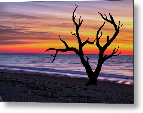 Trees Metal Print featuring the photograph Skeleton Trees of Graveyard Beach 03 by Jim Dollar