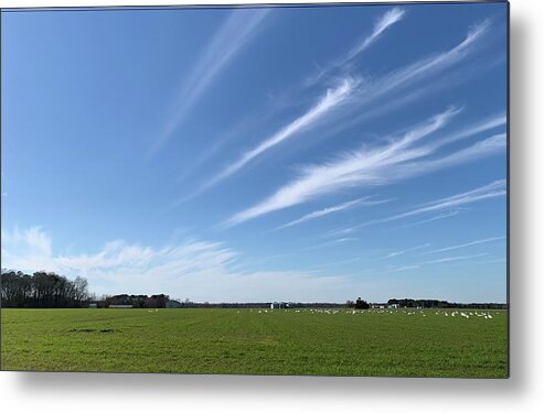 Sky Metal Print featuring the photograph cloud Streaks by Catherine Wilson