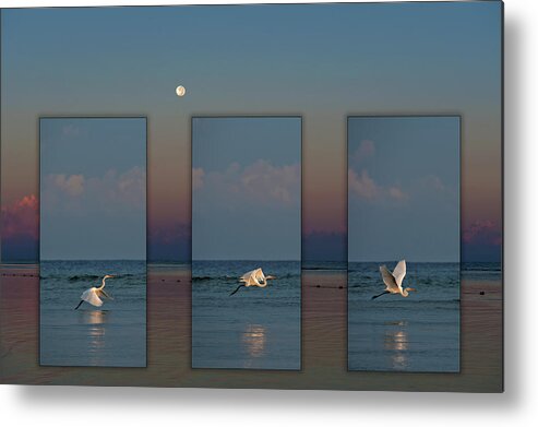 Jamaica Metal Print featuring the photograph Snowy Egret Moon by Jill Love