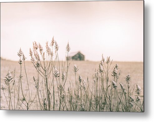 Snow Metal Print featuring the photograph Snowy Field in Evening by Allin Sorenson