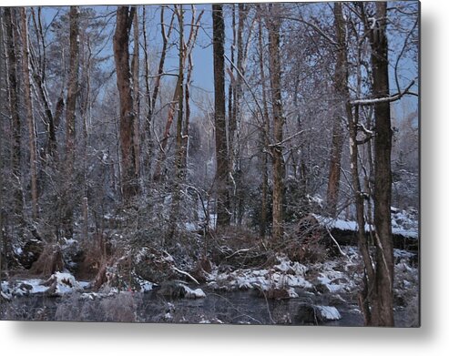 Snow Metal Print featuring the photograph Snowy, Woodsy Morn by Eric Towell