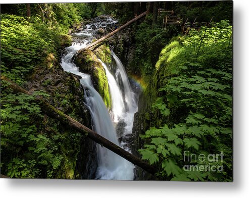 Olympic National Park Metal Print featuring the photograph Sol Duc Falls by Erin Marie Davis