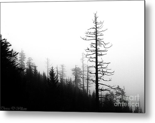 Landscape Metal Print featuring the photograph Solitude in the Smoky Mountains by Theresa D Williams