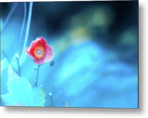 Flower Metal Print featuring the photograph Solitude by Irene Moriarty