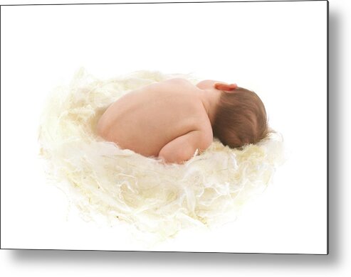 Soft Metal Print featuring the photograph Sophie in a Soft Nest by Anne Geddes