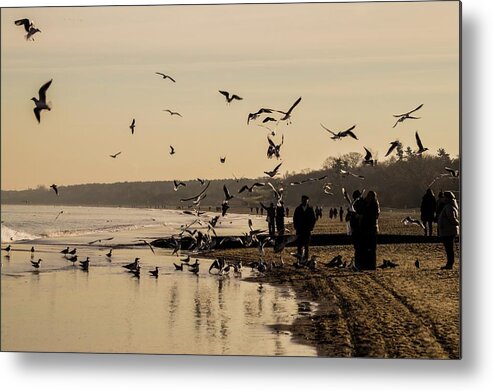 Sopot Metal Print featuring the photograph Sopot Beach by Pablo Saccinto