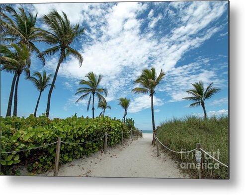 Palm Metal Print featuring the photograph South Beach Miami, Florida Beach Entrance with Palm Trees by Beachtown Views