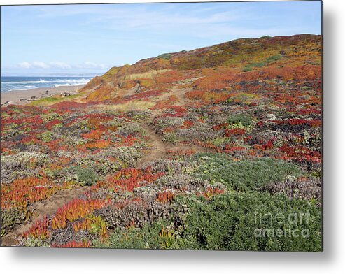 Wingsdomain Metal Print featuring the photograph South Beach Point Reyes California R1883 by Wingsdomain Art and Photography