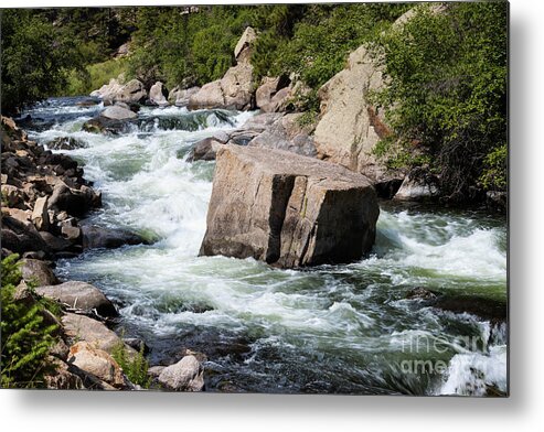 South Platte River Metal Print featuring the photograph South Platte River in Eleven Mile Canyon by Steven Krull