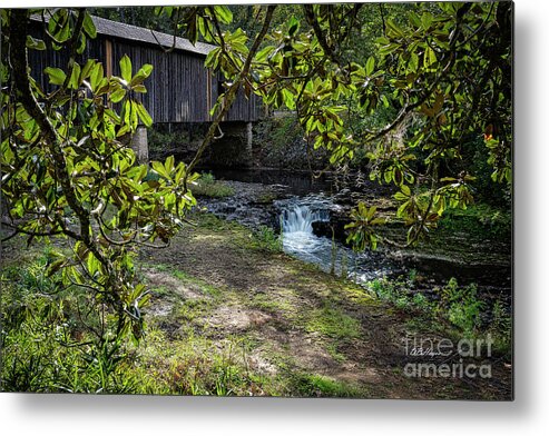 Landscapes Metal Print featuring the photograph Southern Gem by DB Hayes