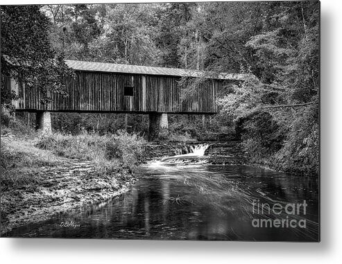 Black And White Metal Print featuring the photograph Southern Gem III in Black and White by DB Hayes