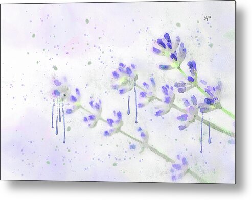 Lavender Metal Print featuring the mixed media Sprigs of Lavender Botanical Watercolor Painting by Shelli Fitzpatrick