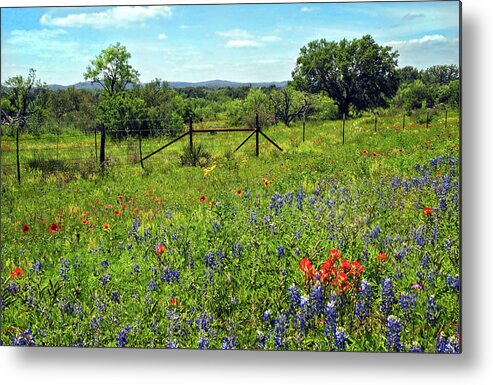 Texas Metal Print featuring the photograph Spring at it's Finest by Lynn Bauer