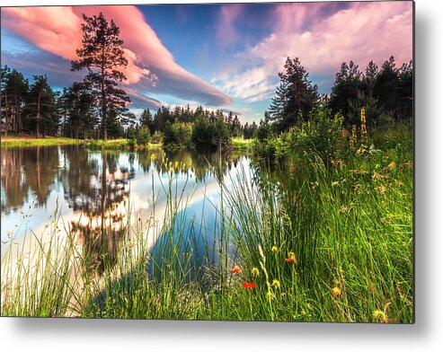 Mountain Metal Print featuring the photograph Spring Lake by Evgeni Dinev