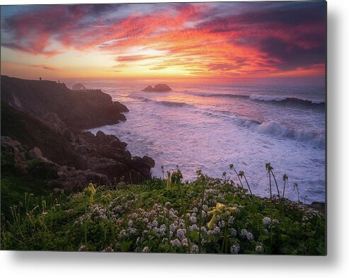 Spring Metal Print featuring the photograph Spring by Louis Raphael