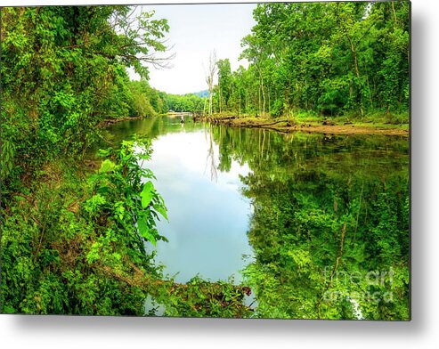 Springtime Metal Print featuring the photograph Springtime on the South Fork in Northeast Tennessee by Shelia Hunt